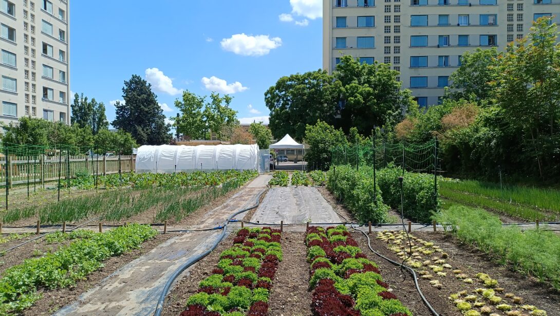 Marché (légumes bio et plants) de la microferme des Etats-Unis au Village des initiatives