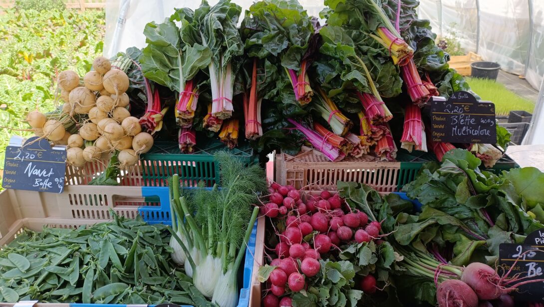 Marché (légumes bio et plants) de la microferme des Etats-Unis au Village des initiatives