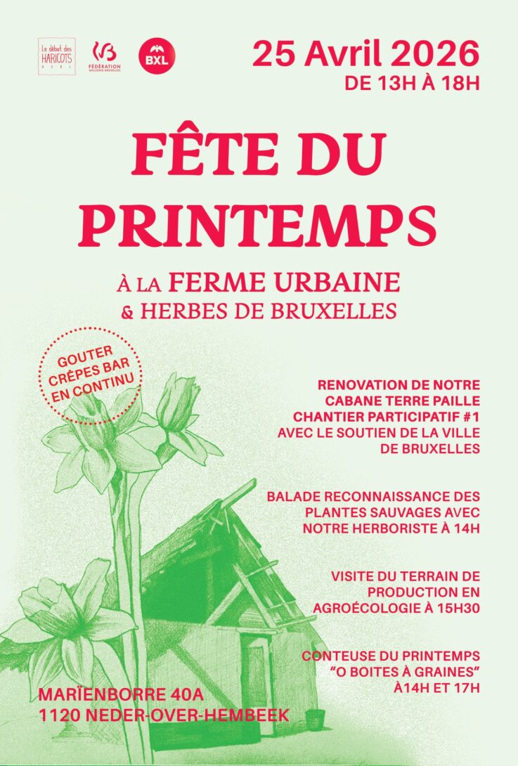 Balade reconnaissance des plantes sauvages