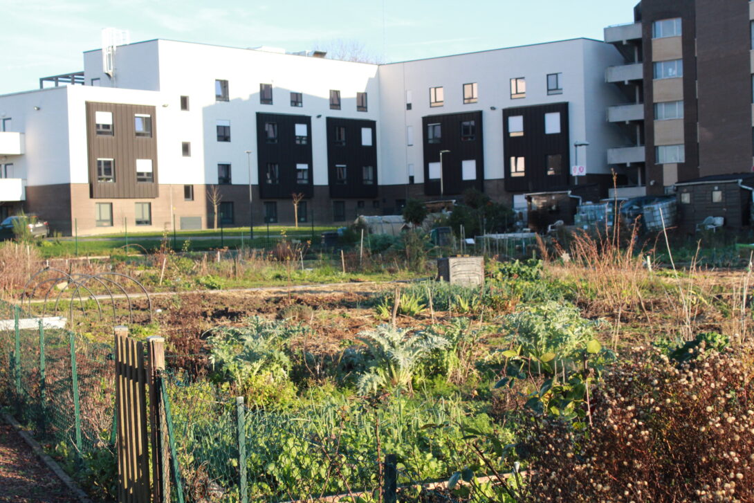 Visite des jardins familiaux