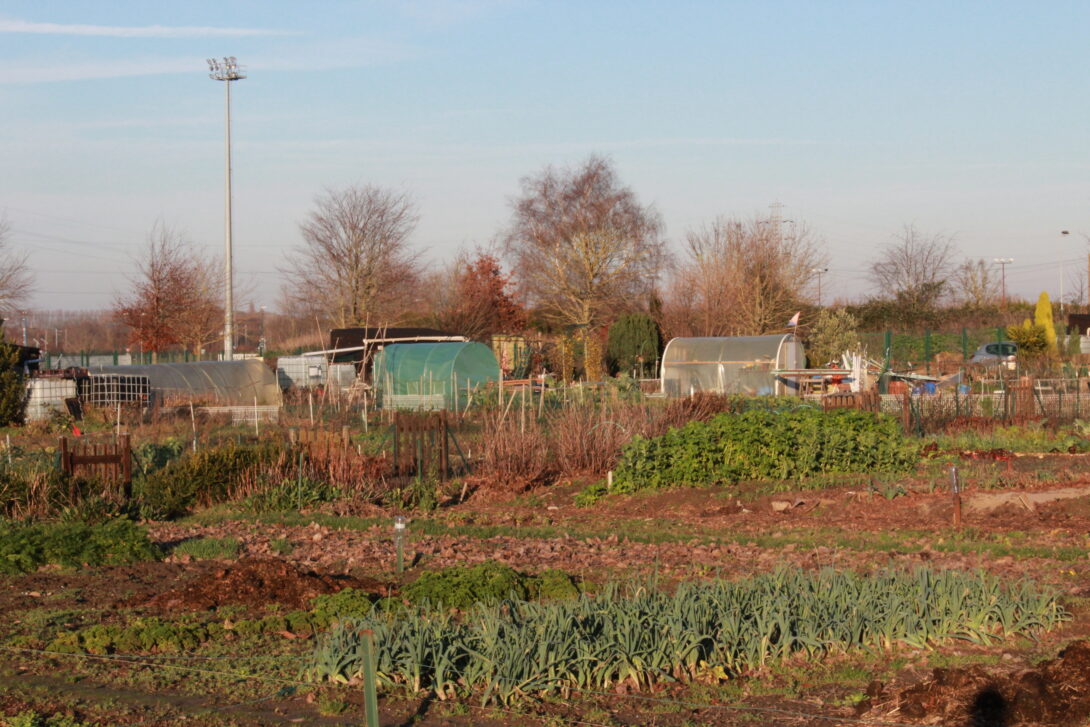 Visite des jardins familiaux