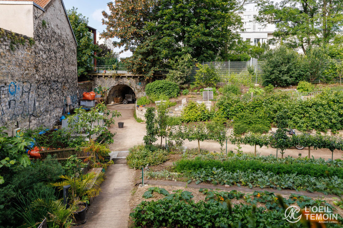 Découverte des activités agricoles de la Ferme du Rail