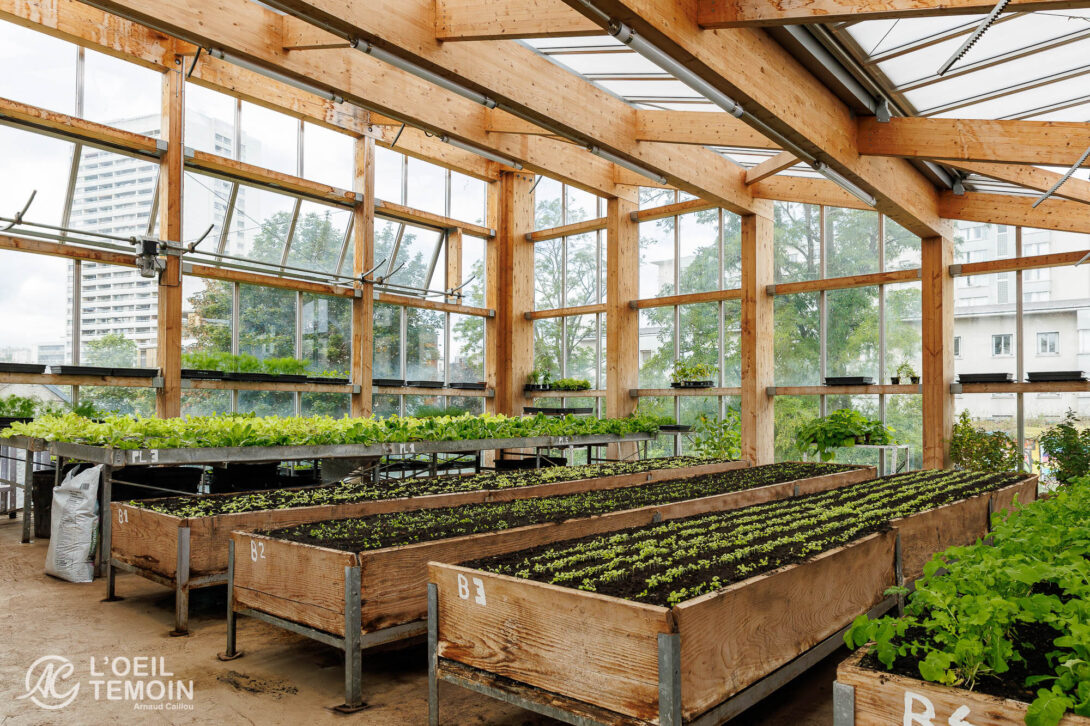 Découverte des activités agricoles de la Ferme du Rail