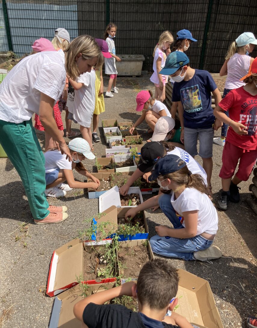 Les cours-jardins dans le Var : désimperméabiliser les sols des écoles pour habiter des jardins