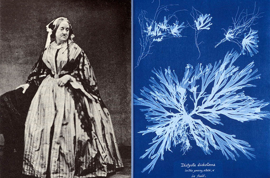 Atelier de création de Cyanotypes, au Parc Rivière à Bordeaux