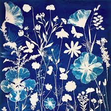 Atelier de création de Cyanotypes, au Parc Rivière à Bordeaux