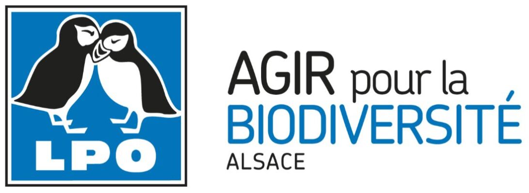 Stand d&rsquo;information LPO alsace