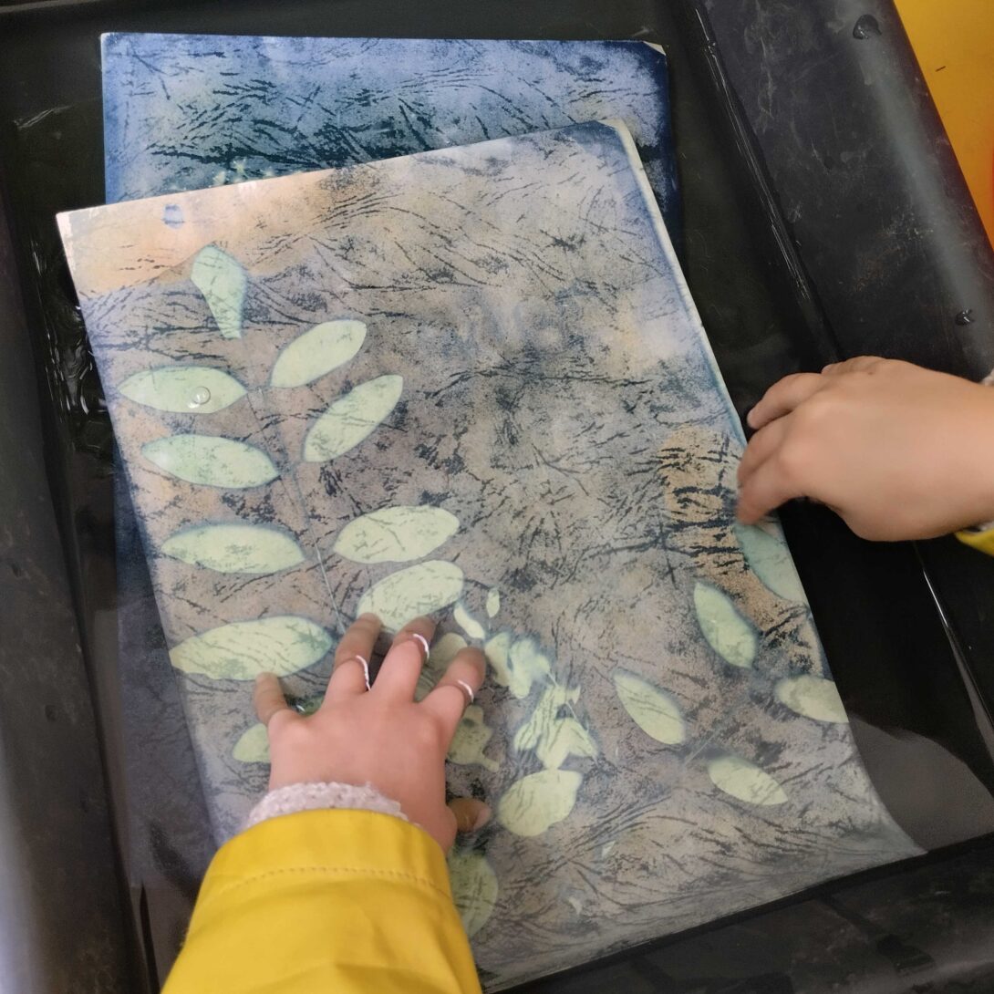 Les 48h ! Atelier cyanotype et botanique