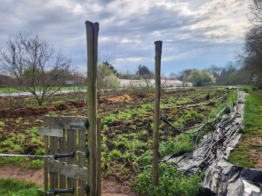Jardinature – Découverte du Jardin en compagnie des récoltants