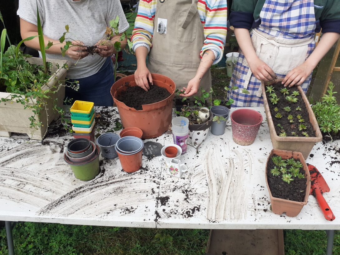 Portes ouvertes chez « Sauve ta plante » l&rsquo;Association Protectrice des Végétaux!