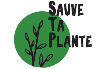 Portes ouvertes chez « Sauve ta plante » l&rsquo;Association Protectrice des Végétaux!