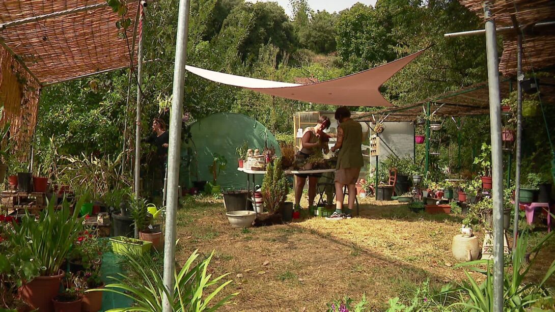 Portes ouvertes chez « Sauve ta plante » l&rsquo;Association Protectrice des Végétaux!