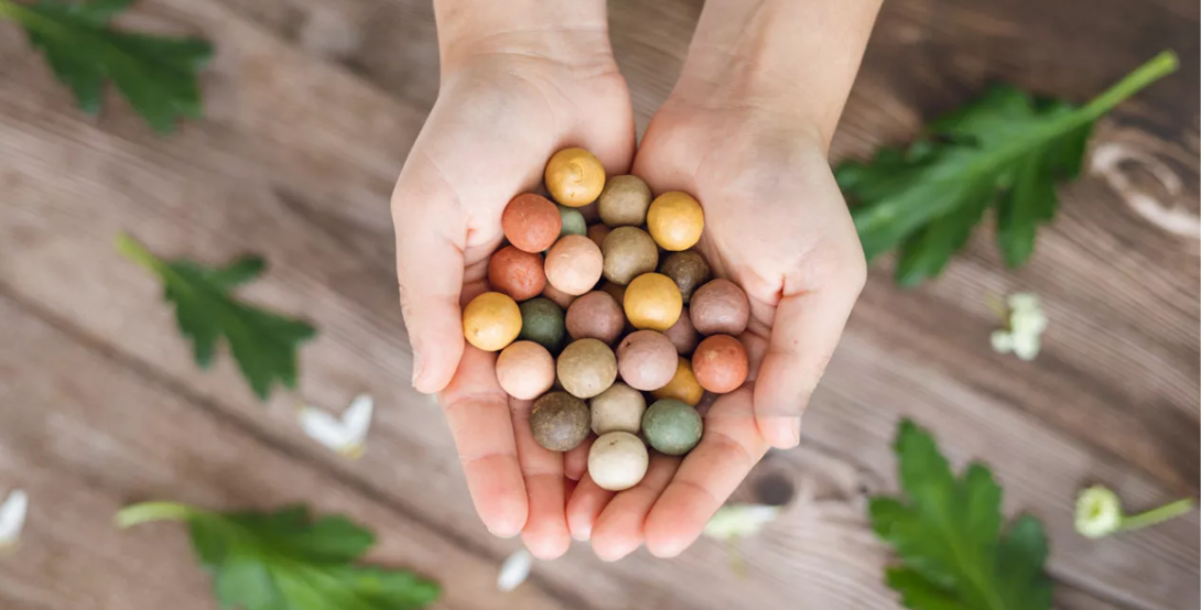 Children’s Workshop on Seeds / Dětský semínkový workshop