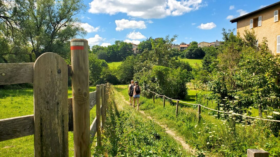 Parcours du dimanche 10h : « Les mains qui nous nourrissent » sur le GR169 (Dardilly – Albigny)