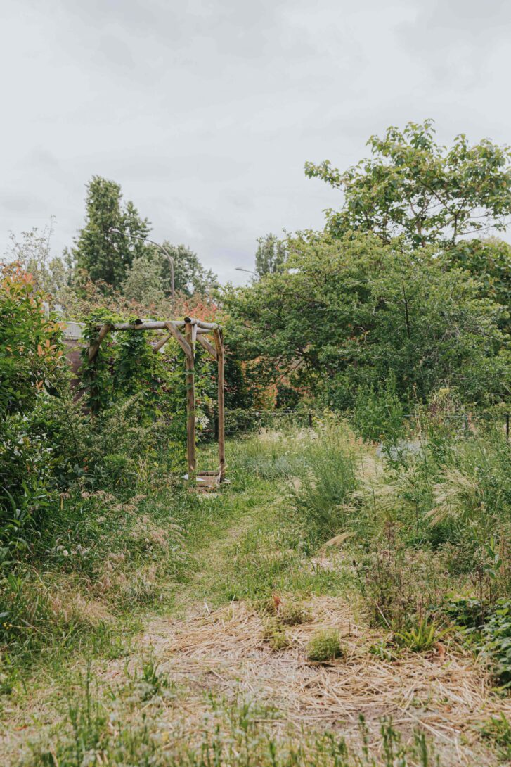 visite et démo tinctoriale au jardin WHOLE