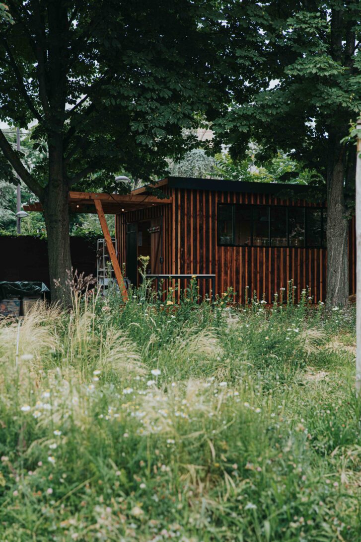 visite et démo tinctoriale au jardin WHOLE