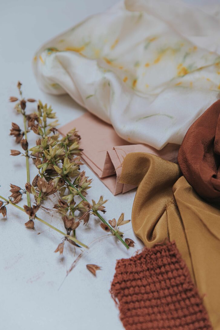 visite et démo tinctoriale au jardin WHOLE