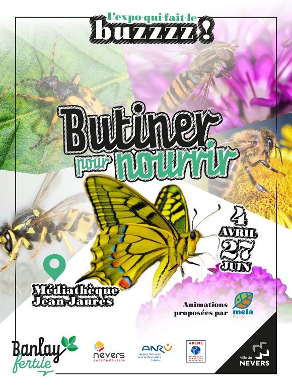 L&rsquo;expo qui fait le buzzzz! Butiner pour nourrir et Atelier créatif