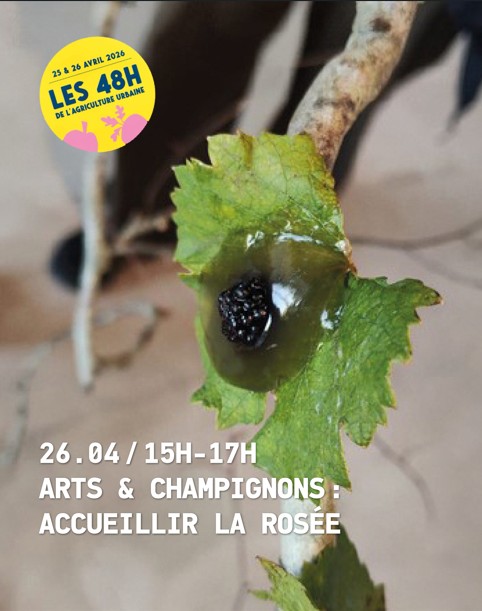 Romainville: Arts et champignons : Accueillir la rosée