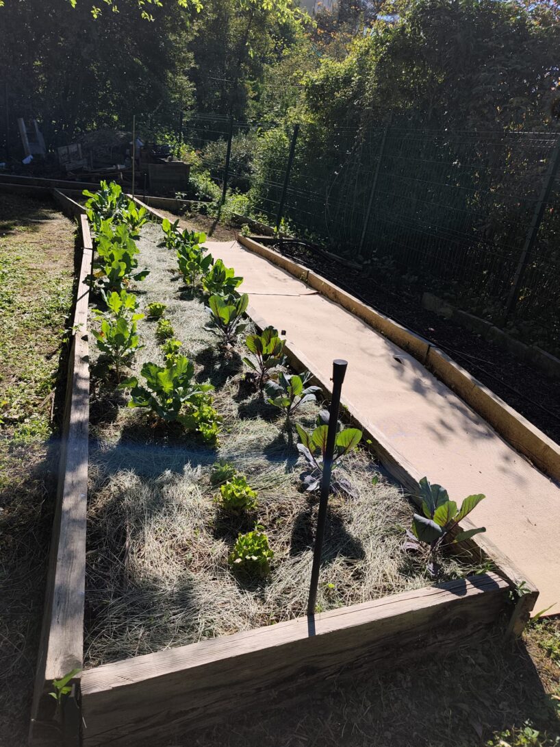 Ateliers semis et décoration composteurs au jardin potager pédagogique des Liserons
