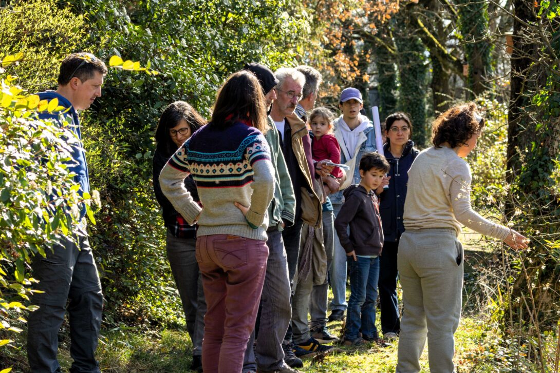 Cueillette botanique au Castel et confection d&rsquo;une alcoolature : Synergie circulatoire aux 7 plantes