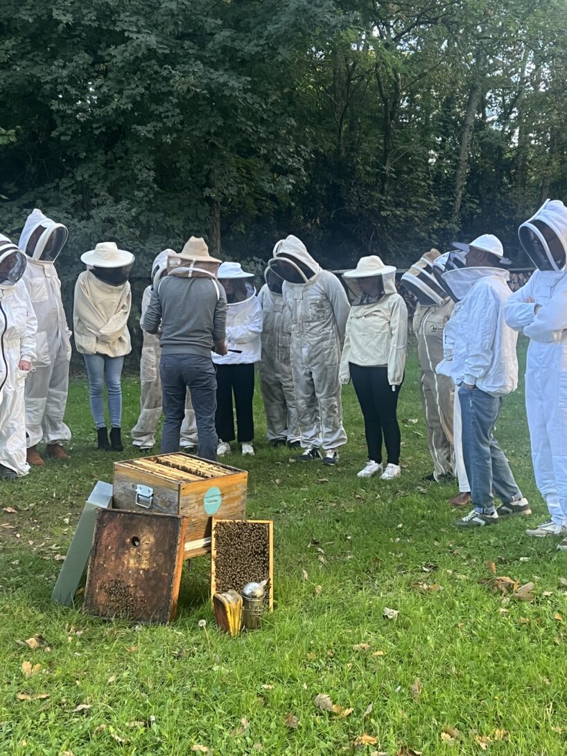 Animation apiculture