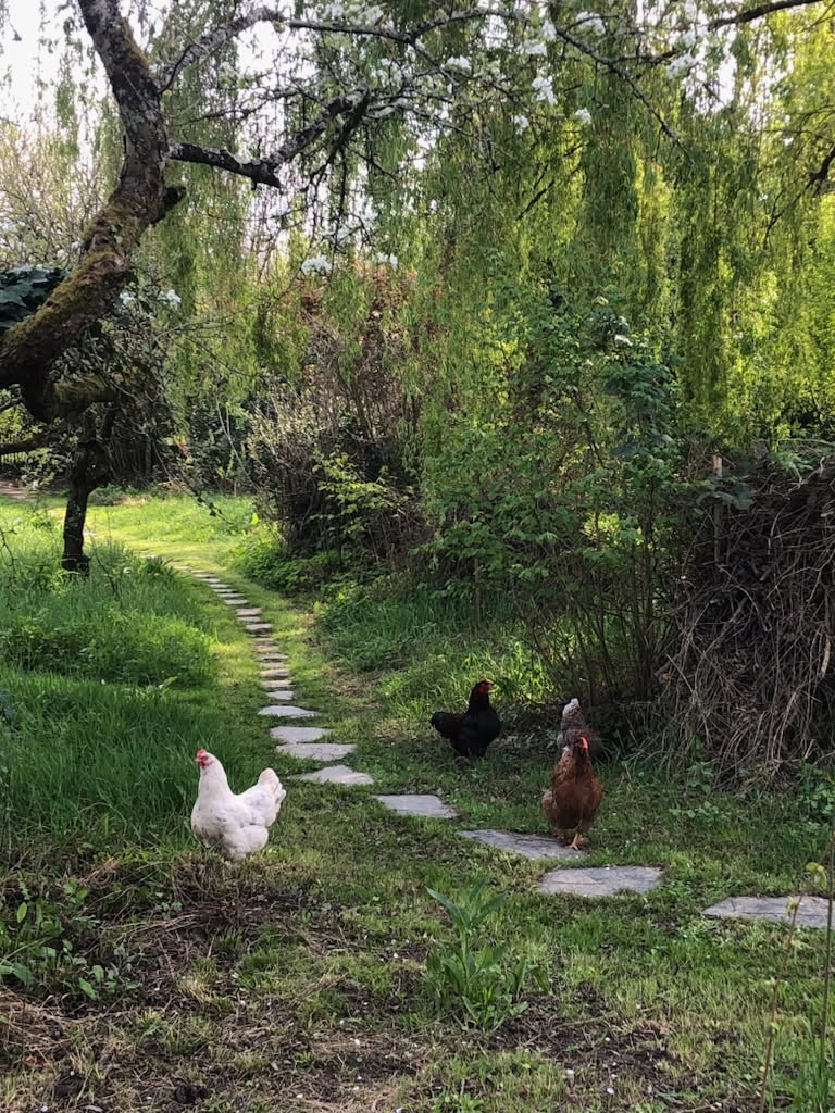Un chef au jardin au Pré-Roy