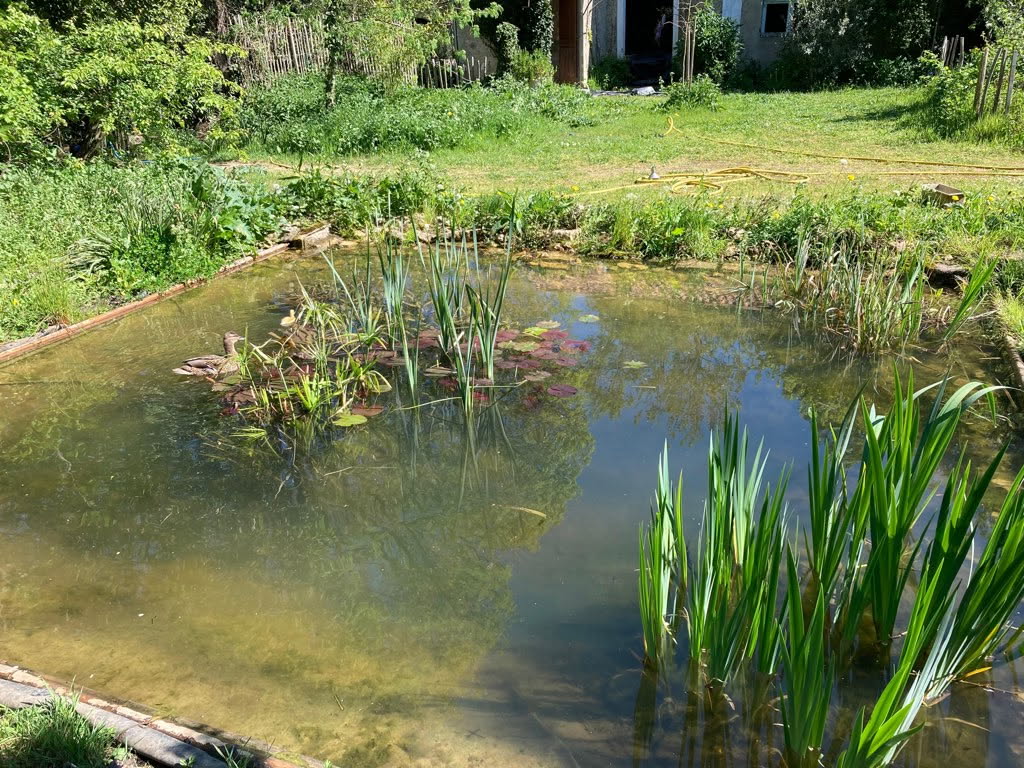 Un chef au jardin au Pré-Roy