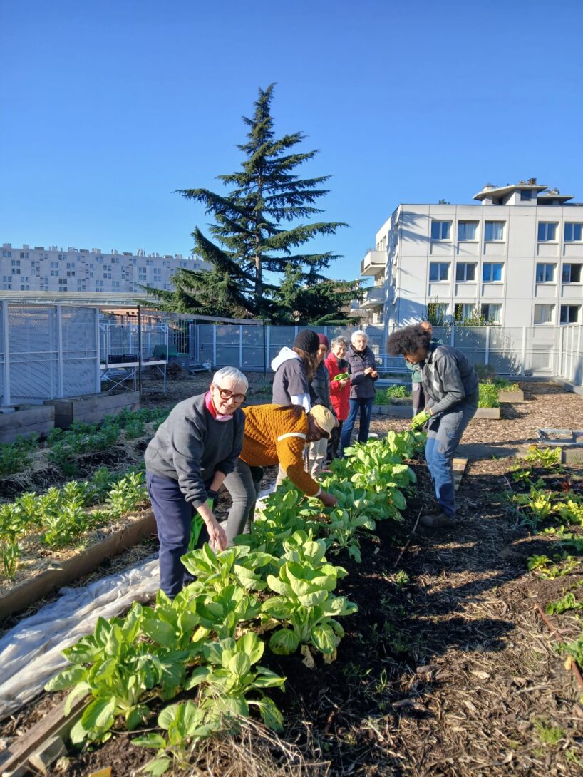 Visite et jardinage sur le toit du collège Pailleron