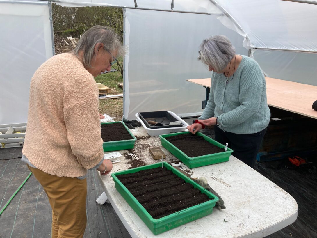 Sevran : Visite et jardinage à la microferme des Trèfles