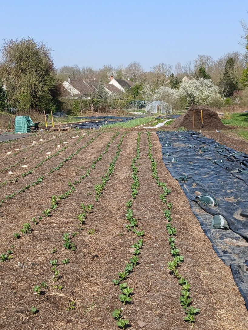Sevran : Visite et jardinage à la microferme des Trèfles