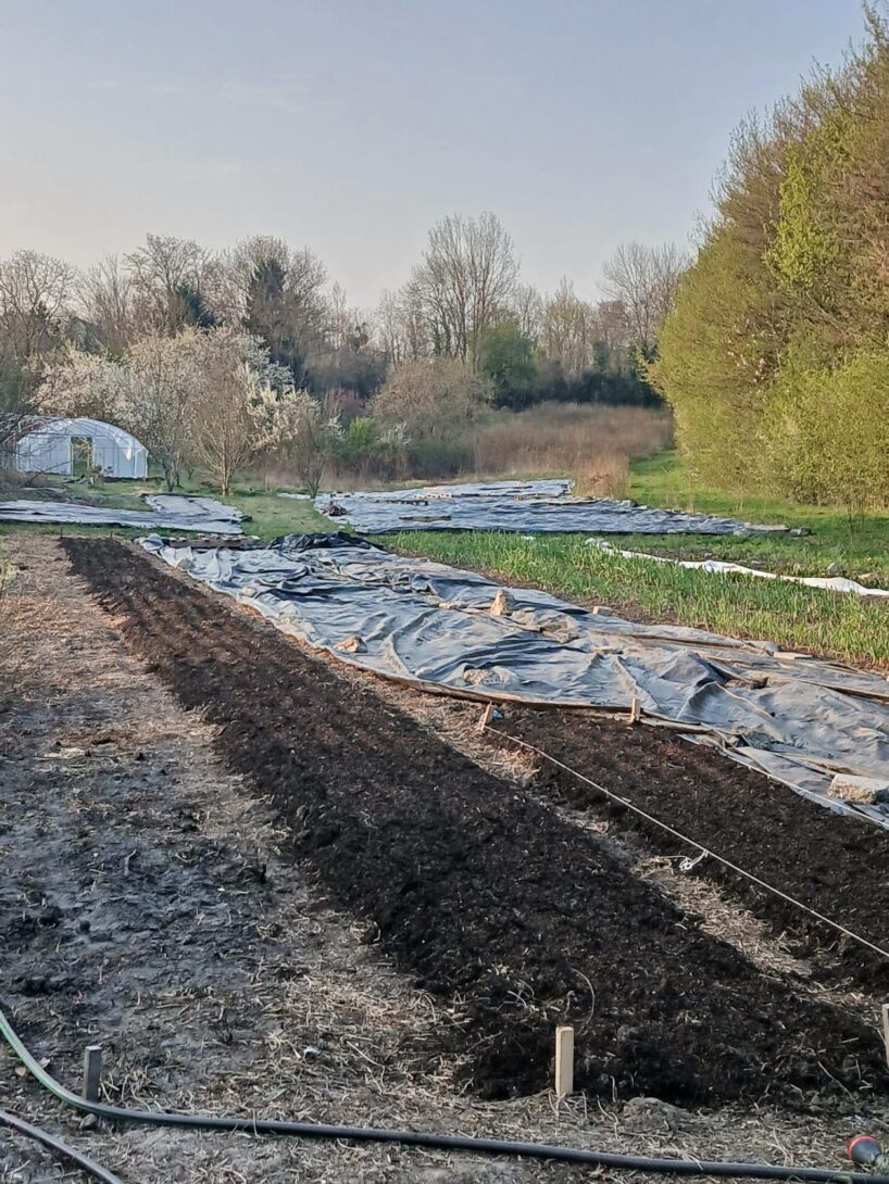 Sevran : Visite et jardinage à la microferme des Trèfles