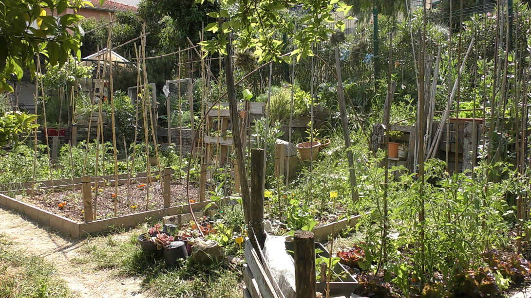 Visite du jardin partagé et pédagogique du Prieuré du Vieux-Logis avec l&rsquo;APPESE