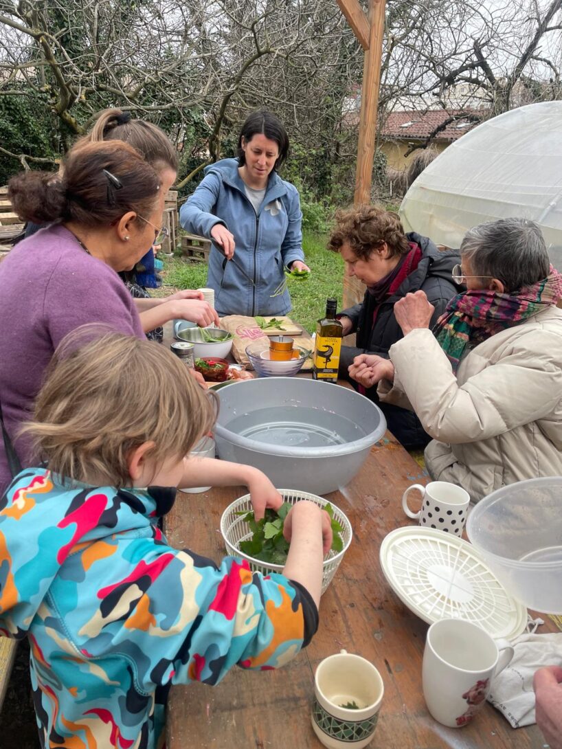 Du sauvage dans l&rsquo;assiette – Atelier d&rsquo;initiations aux plantes sauvages comestibles