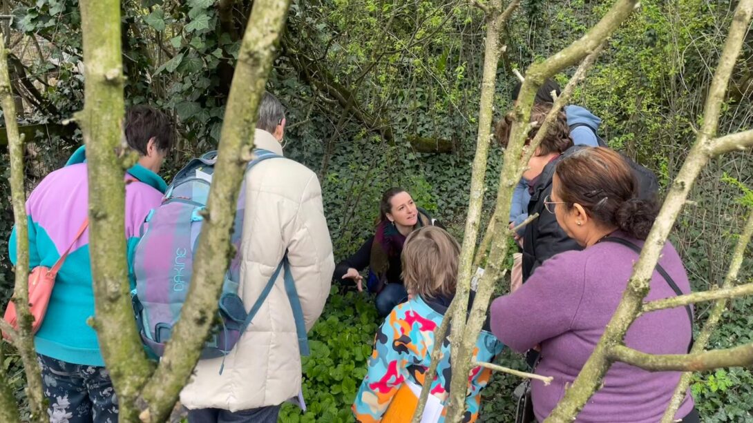 Du sauvage dans l&rsquo;assiette – Atelier d&rsquo;initiations aux plantes sauvages comestibles