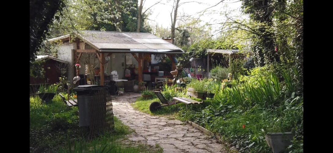 Du sauvage dans l&rsquo;assiette – Atelier d&rsquo;initiations aux plantes sauvages comestibles