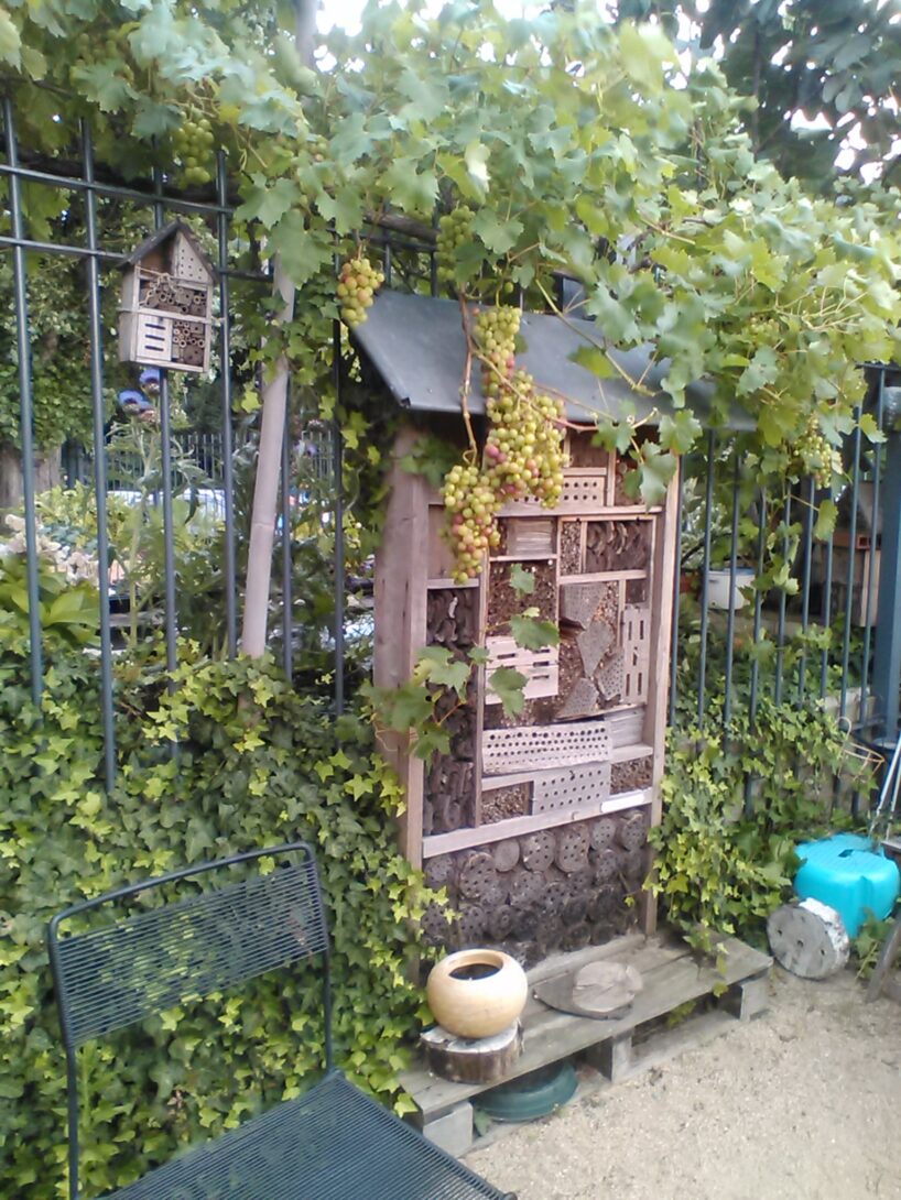 Visite du Jardin Faure&rsquo;Midable