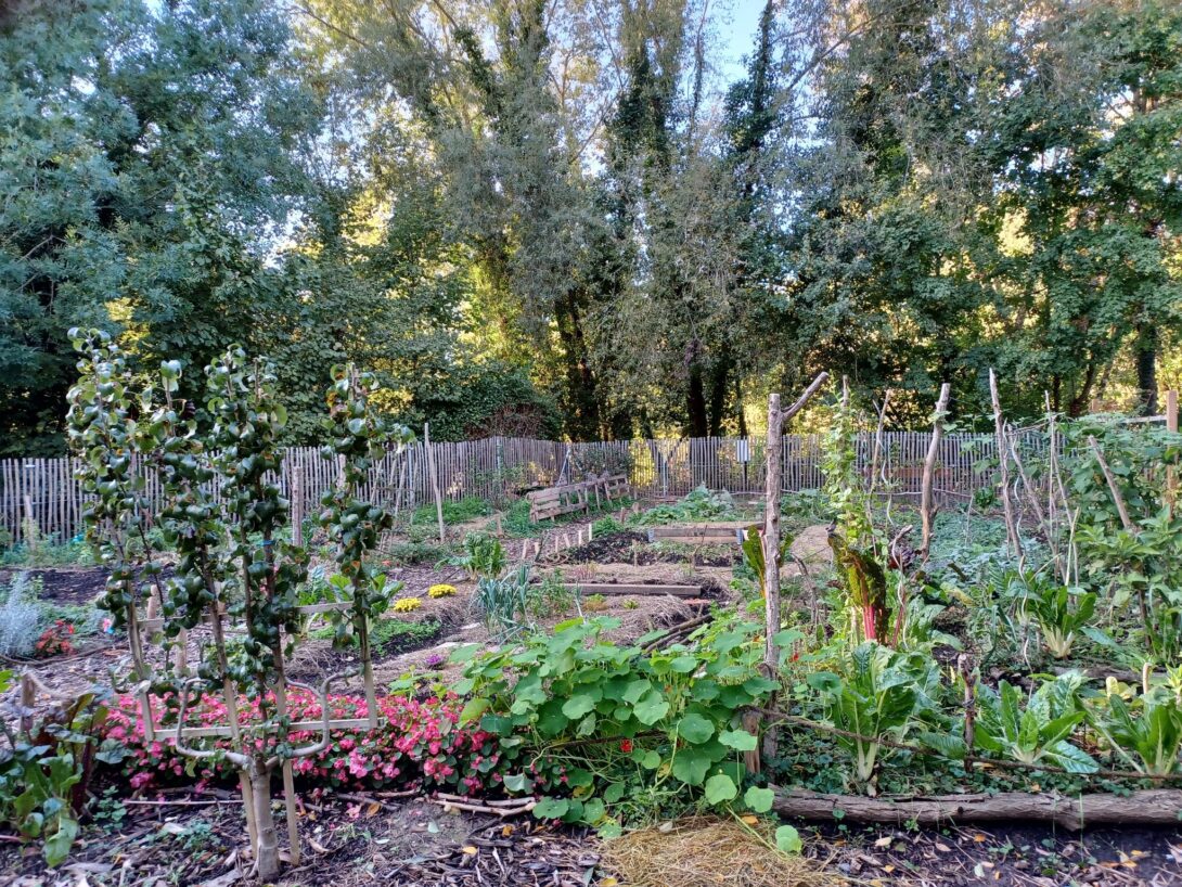 Portes-ouvertes conviviales au jardin de l&rsquo;Aubépine | Robertsau