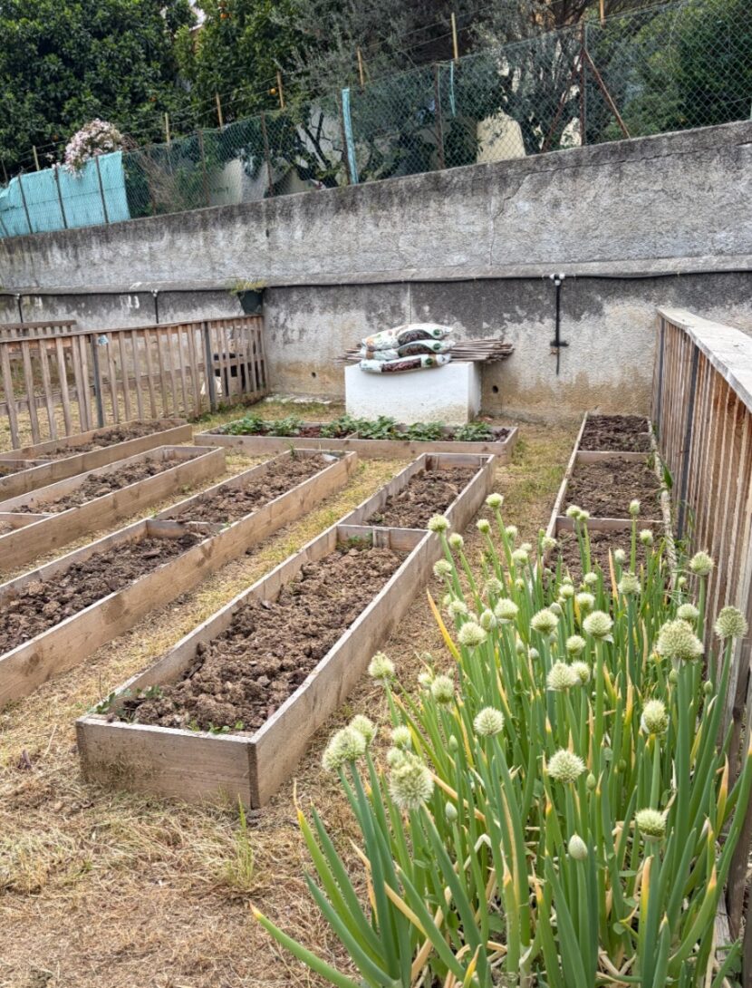 Plantons, Peignons, Partageons au clos de Las Planas