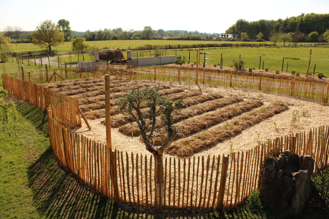 Conférence : comprendre enfin la permaculture appliquée au jardin !