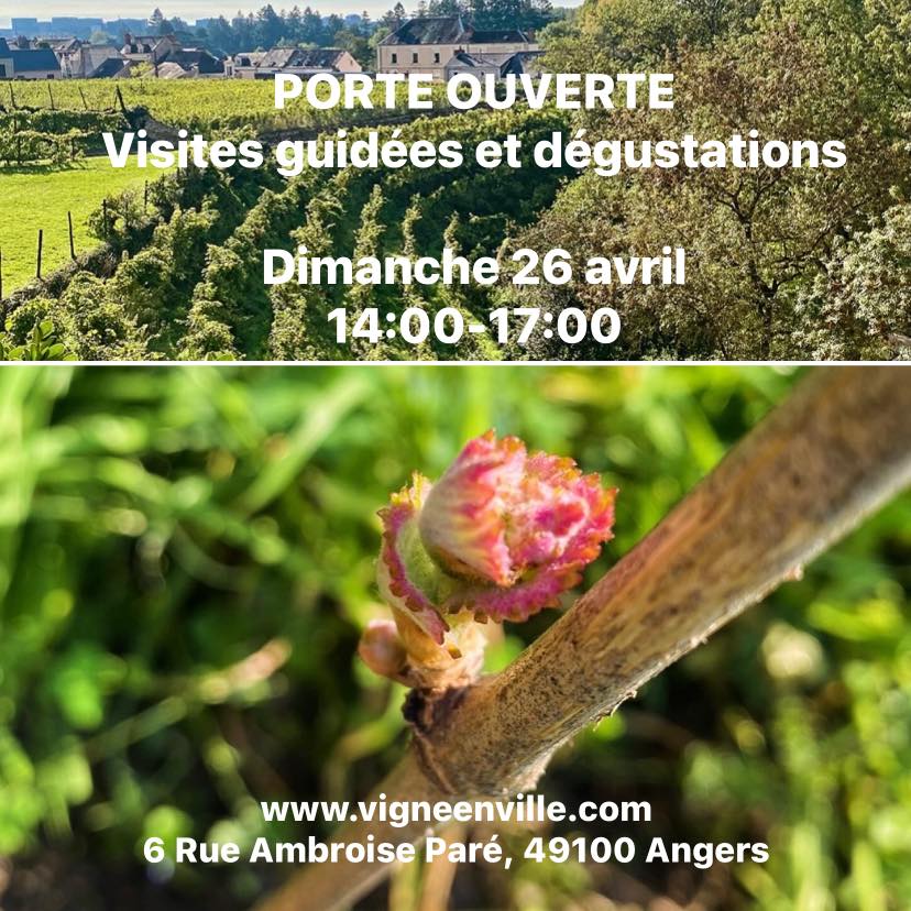 48h au Vigne du bon pasteur par l&rsquo;asso Vigne en Ville Angers