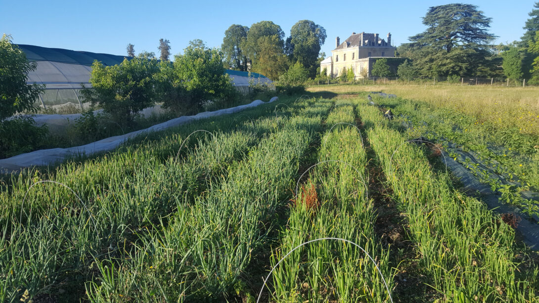 Visite des jardins des Verdurettes