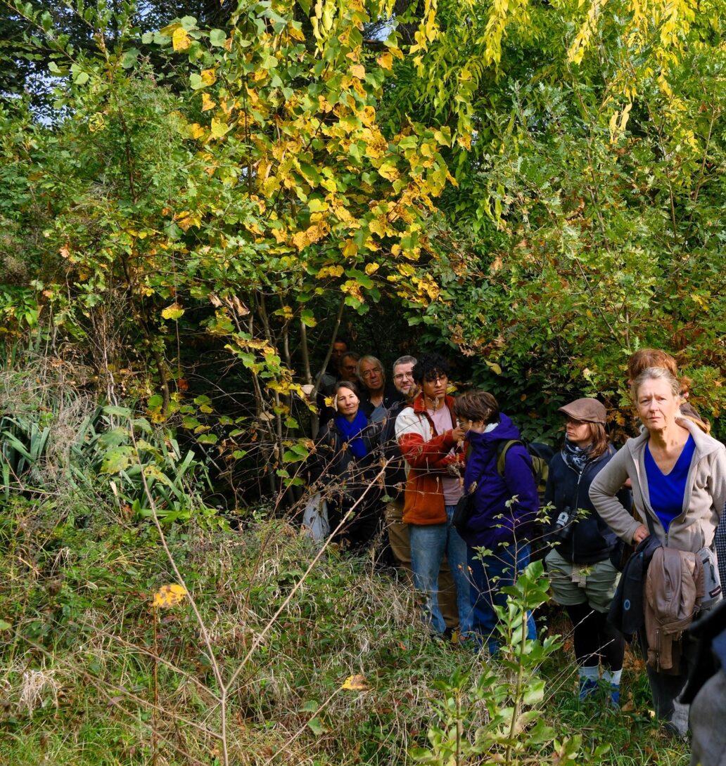 Les 48h de l&rsquo;agriculture urbaine sur les Chantiers Coopératifs du Castel à Rillieux-la-Pape