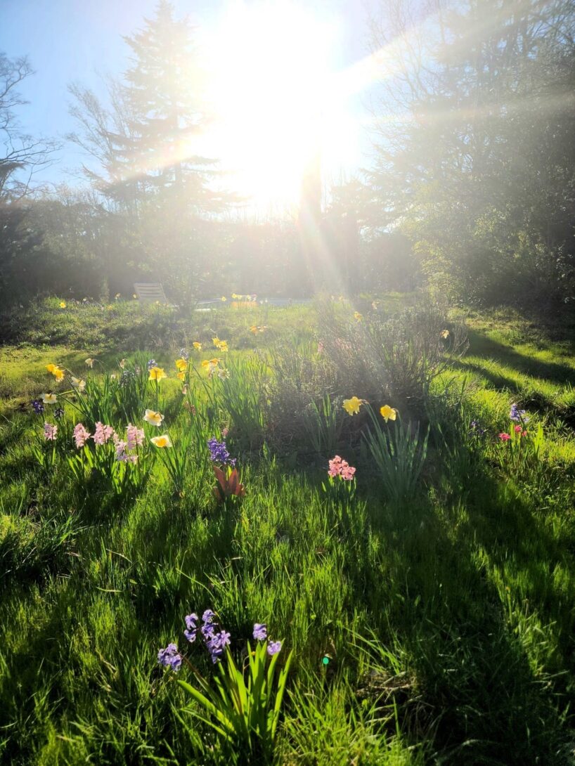 Les 48h de l&rsquo;agriculture urbaine sur les Chantiers Coopératifs du Castel à Rillieux-la-Pape