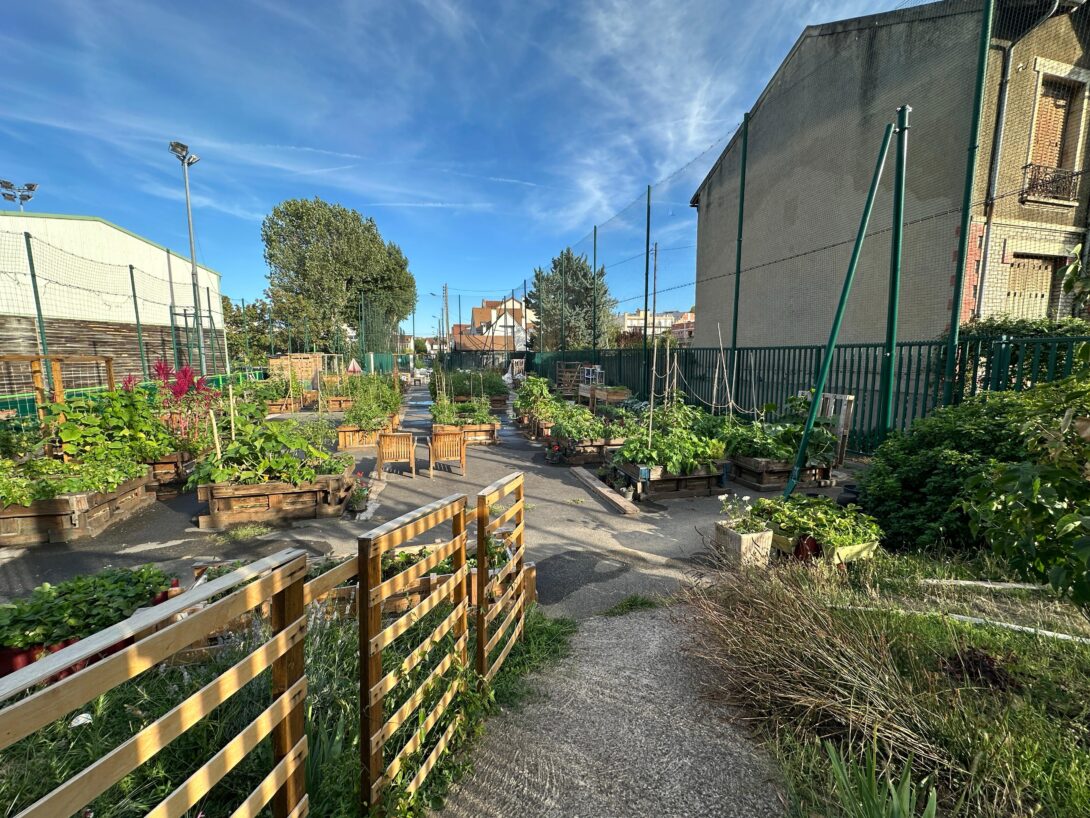 Journée portes ouvertes, troc plantes et sels aromatiques aux jardins partagés Plaine Terre