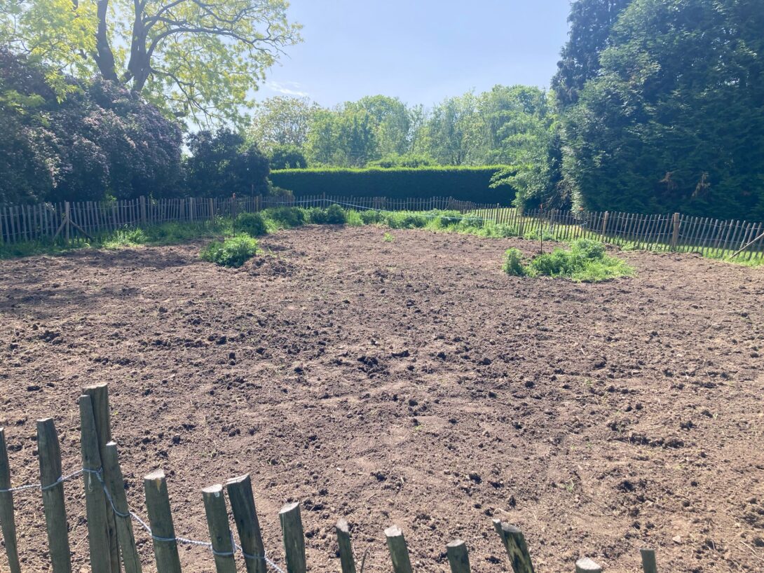 Semis d&rsquo;une prairie tinctoriale