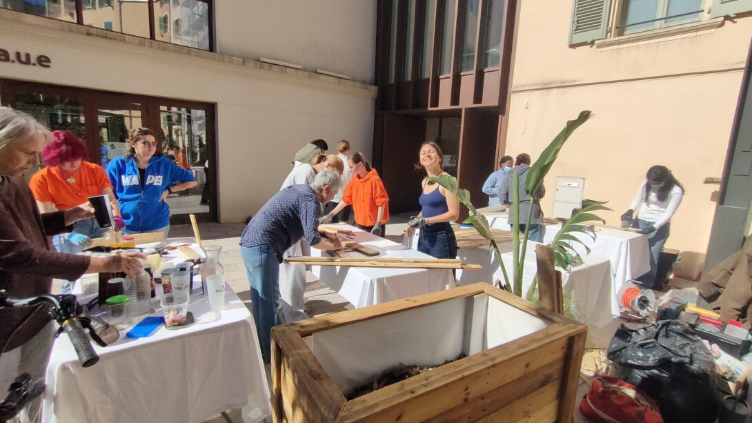 Végétalisons le centre ville de Toulon !