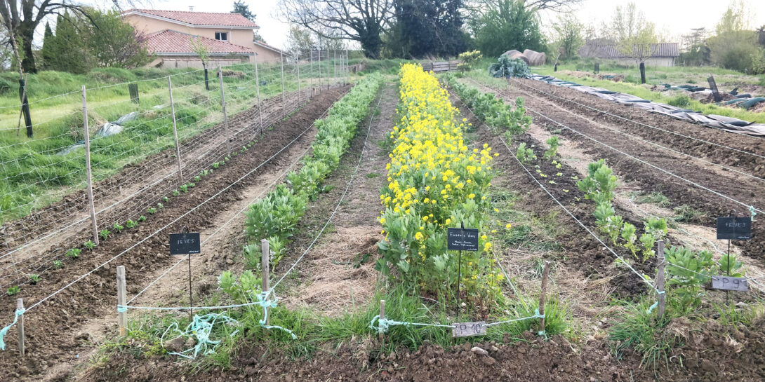 Venez rendre visite au Réveil des Potagers !