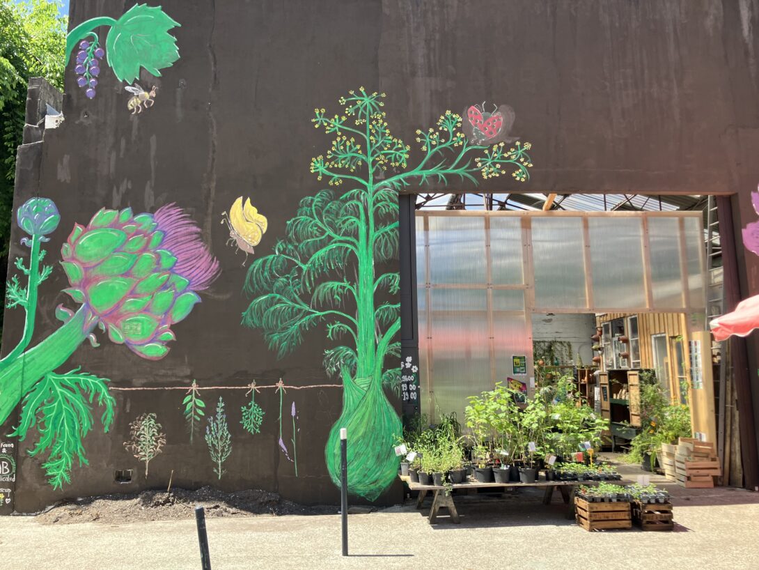 Vente de plants potagers – Producteur AB