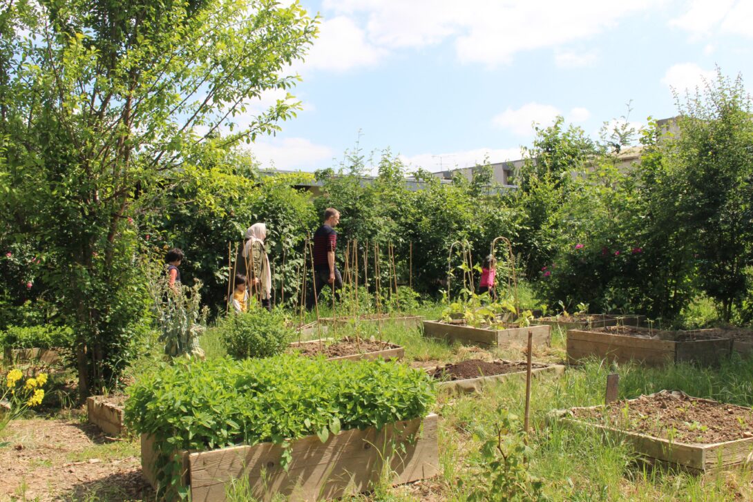Bondy : Visite du jardin partagé de la Noue Caillet